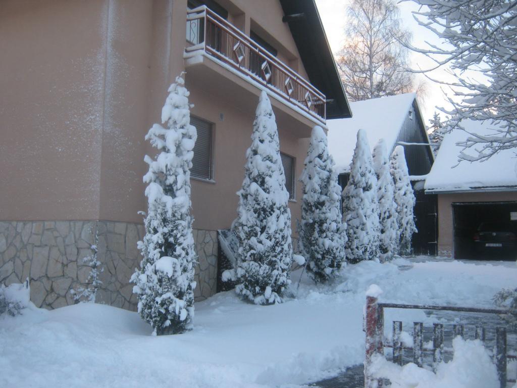 House Pribic Hotel Vrelo Koreničko Buitenkant foto